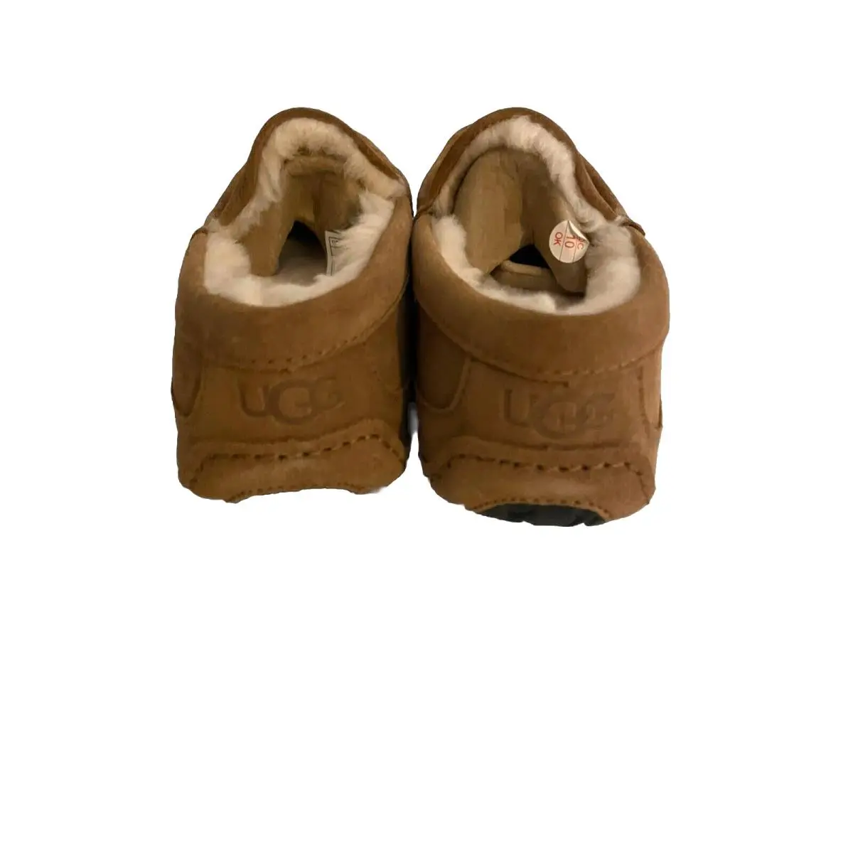 UGG shoes - Ascot - Ascot - Brown 4