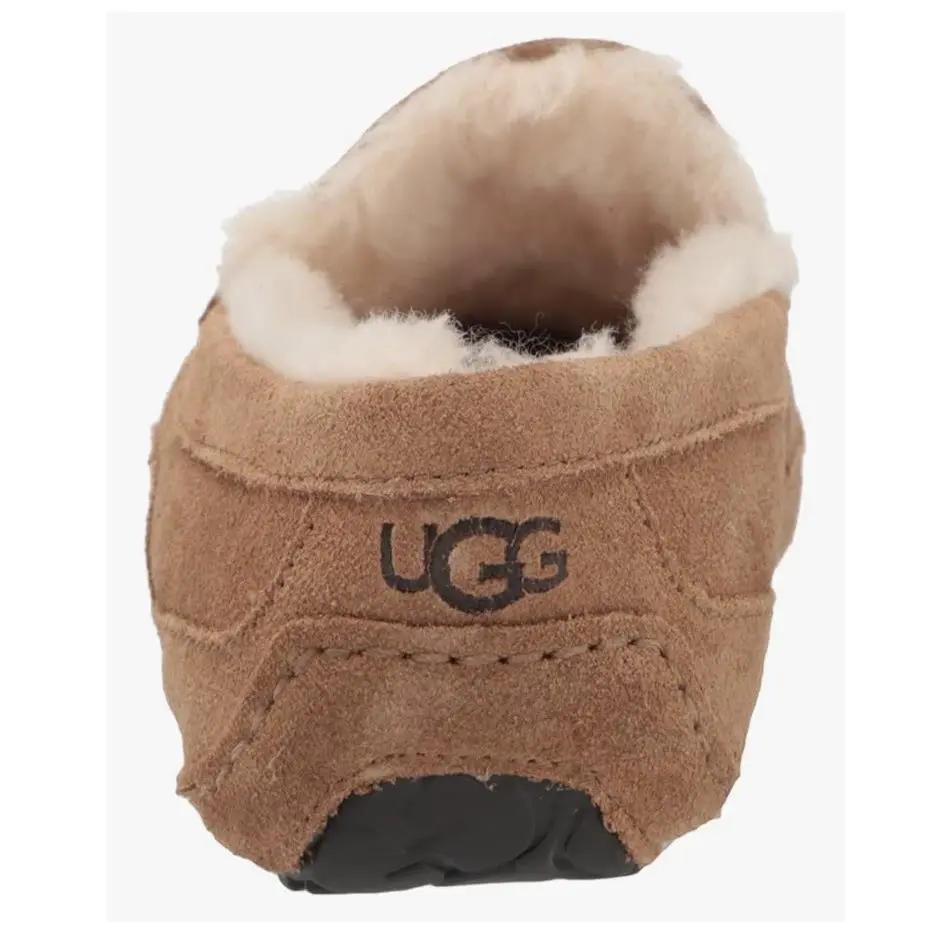 UGG shoes - UGG Ascot - Ascot - Chestnut 2