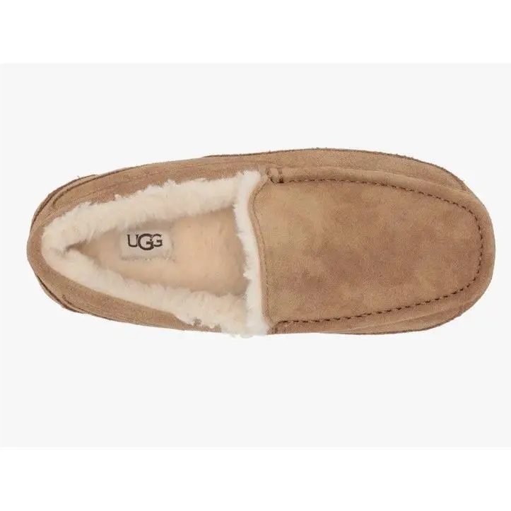 UGG shoes - UGG Ascot - Ascot - Chestnut 4