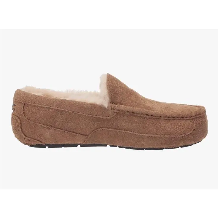 UGG shoes - UGG Ascot - Ascot - Chestnut 5