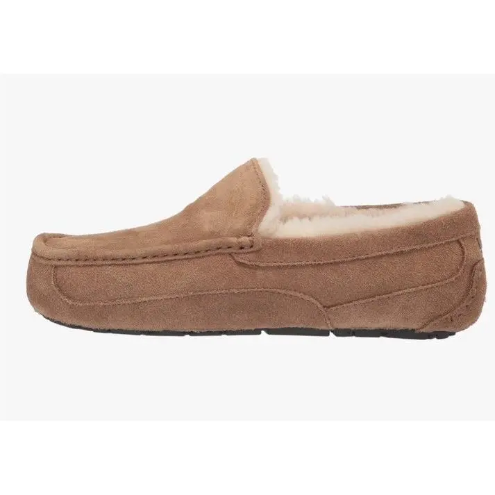 UGG shoes - UGG Ascot - Ascot - Chestnut 6