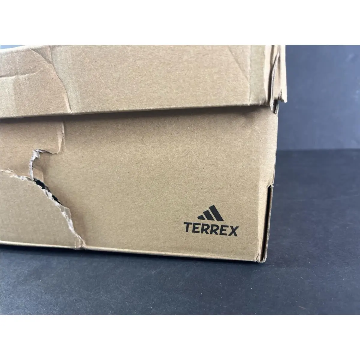 Adidas shoes - adidas Terrex - Terrex - Blue 9