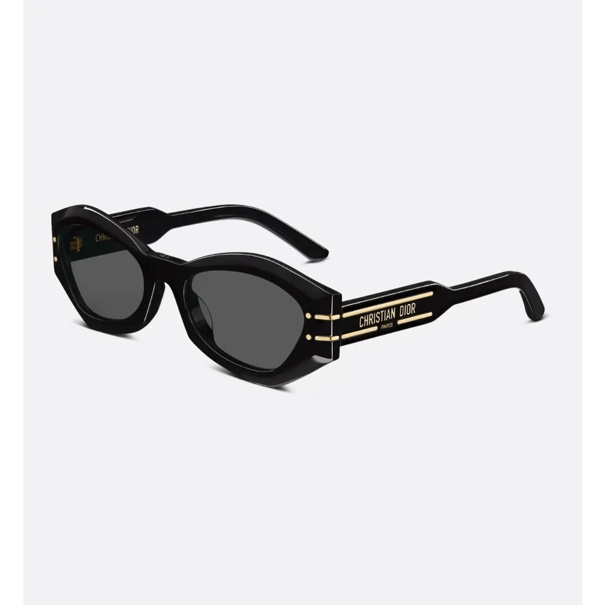Dior Diorsignature B1U Sunglasses
