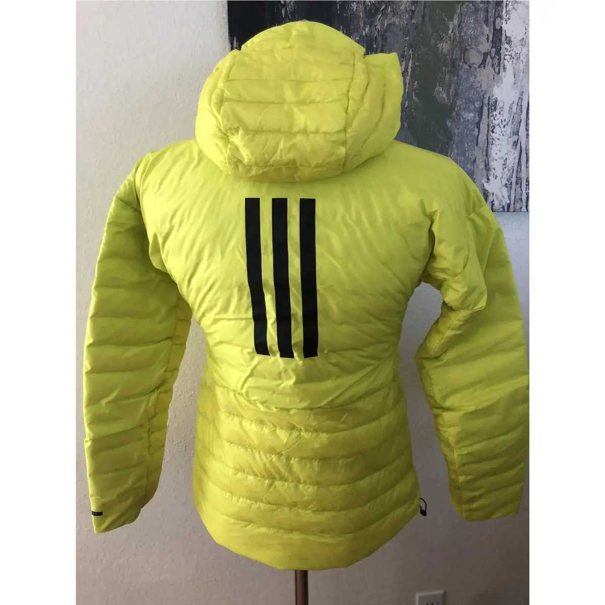 Adidas clothing - Adidas Terrex - Terrex - Acid Yellow 0