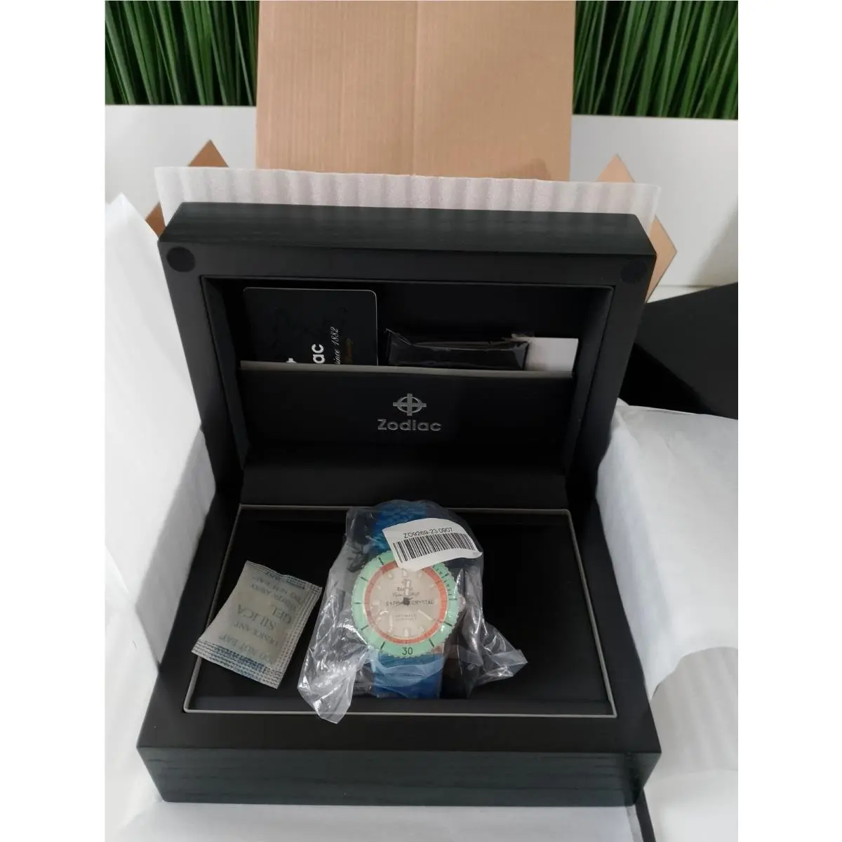 Zodiac Super Sea Wolf Watermelon Compression Diver
