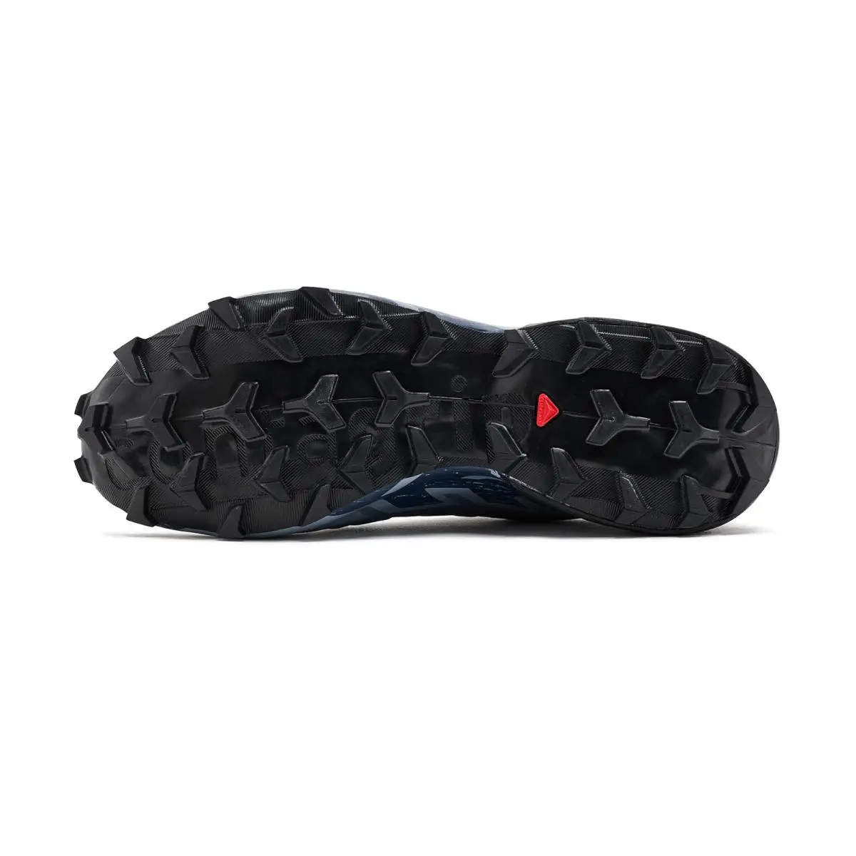 Salomon shoes - Ancient Water 31