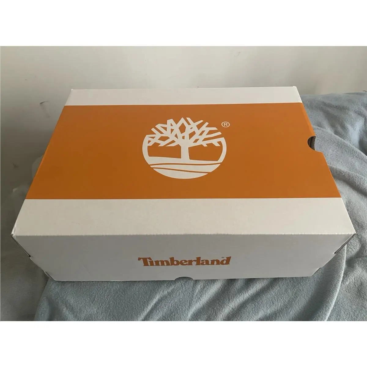 Timberland shoes - Timberland Motion Access - Motion Access - Wheat 8