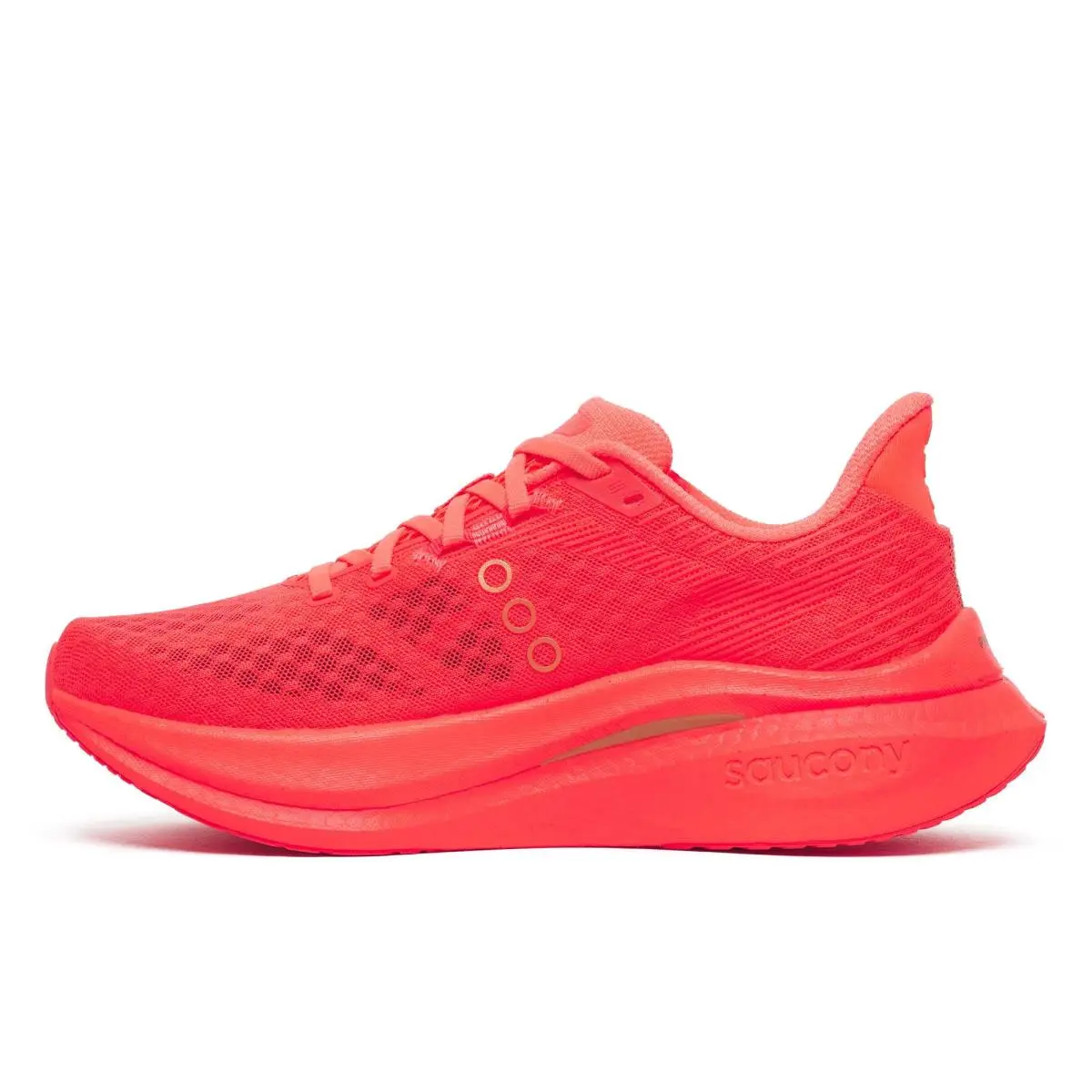 Saucony shoes - Torte | Aureate 49