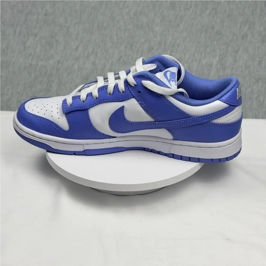 Nike shoes - Nike Dunk Low Retro BTTYS - Blue 10
