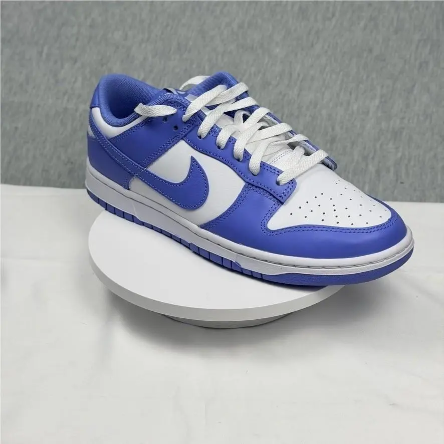 Nike shoes - Nike Dunk Low Retro BTTYS - Blue 1