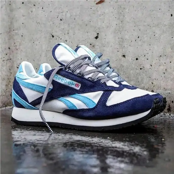 Reebok shoes - Reebok Goretex - Goretex - GX2456 - Vector Navy / Chalk / Digital Blue 16