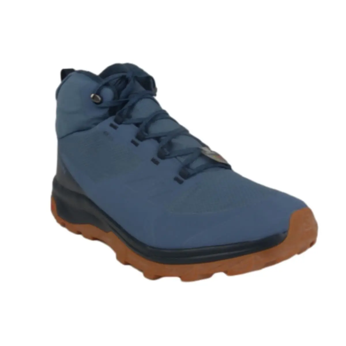 Salomon shoes - Blue (UPC: 195751394260) 1