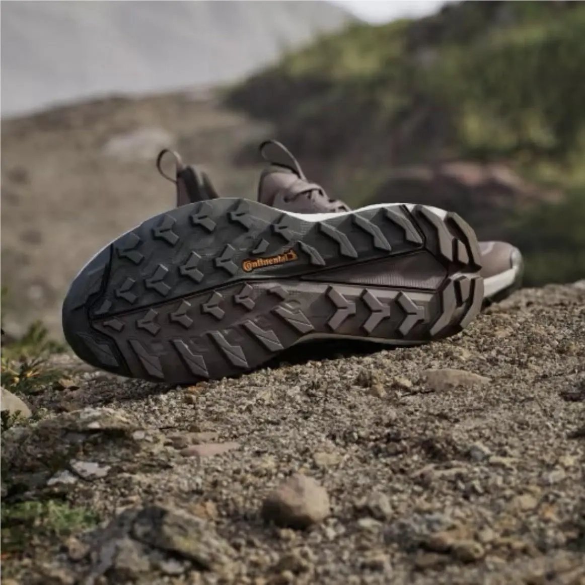 Adidas shoes - adidas TERREX Free Hiker - TERREX Free Hiker - IG2368 - Brown 1