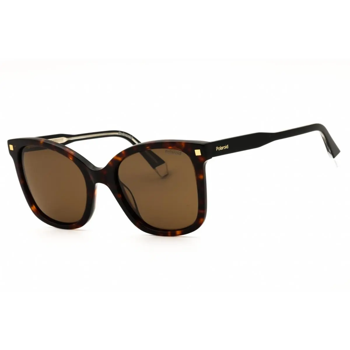 Core Pld 4151/S/X 0086 SP Havana/brown Polarized 53-20-145 by Polaroid