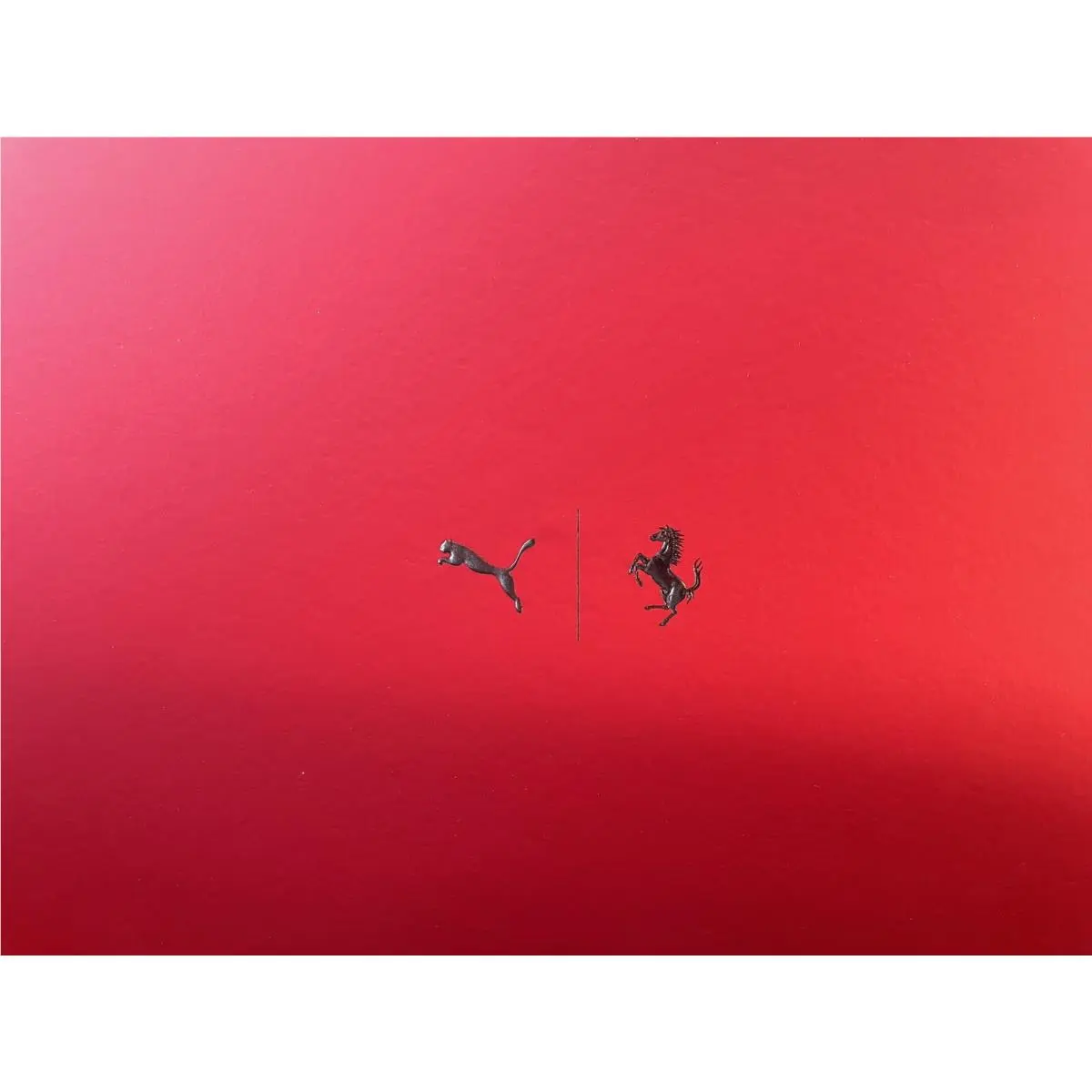Puma shoes - Red 14
