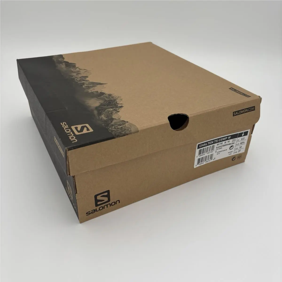 Salomon shoes - Salomon Chalten TS CSWP - Chalten CSWP - Black 16