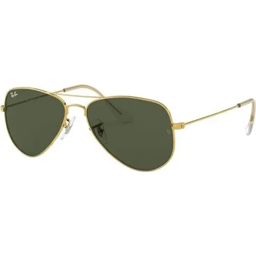 Ray-ban RB3025 Classic Evolve Photochromic Aviator Sunglasses