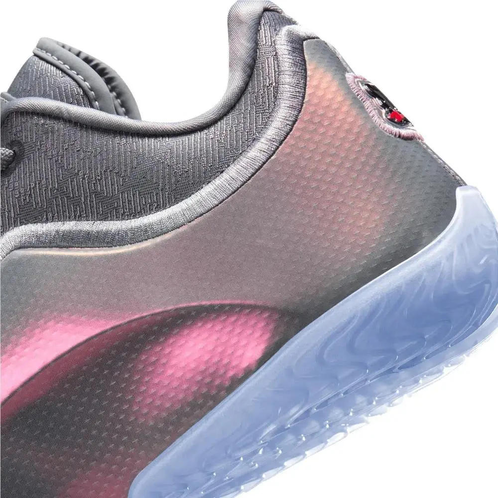 Nike shoes - Nike LeBron 23 - LeBron - IH1513002 - Cool Grey / Black Cool Grey 19