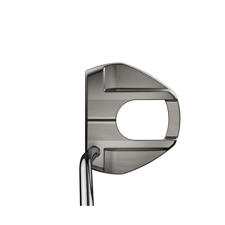 Cobra  - MIM Camino (2026) - MIM Camino - Polished Silver 4