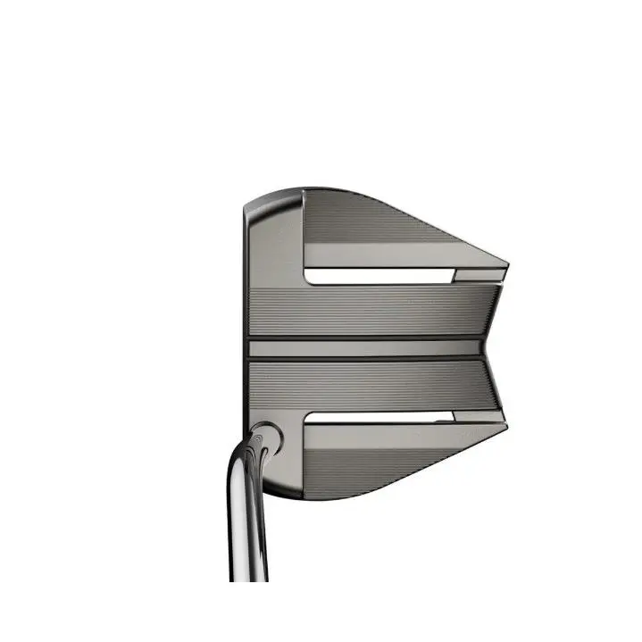 Cobra  - MIM Stingray (2026) - MIM Stingray - Polished Silver 0
