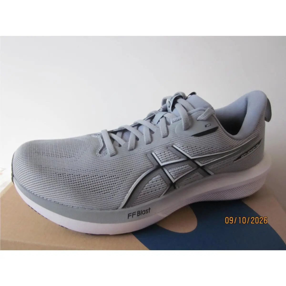 Asics GT-1000 14 Men`s Running Shoes
