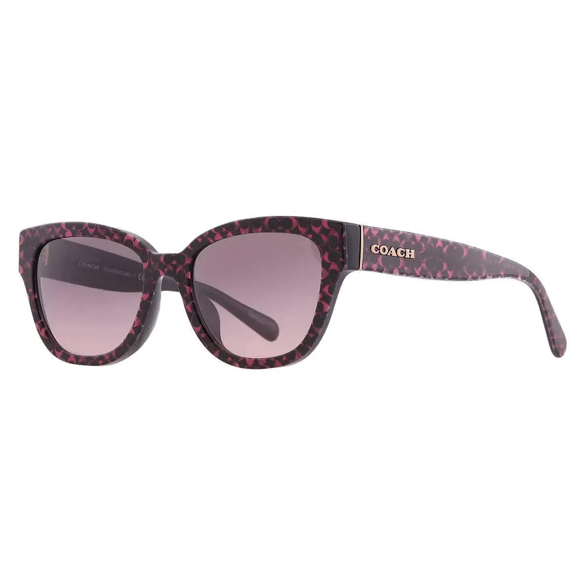 Coach Grey Rose Gradient Butterfly Ladies Sunglasses HC8379U 578346 54