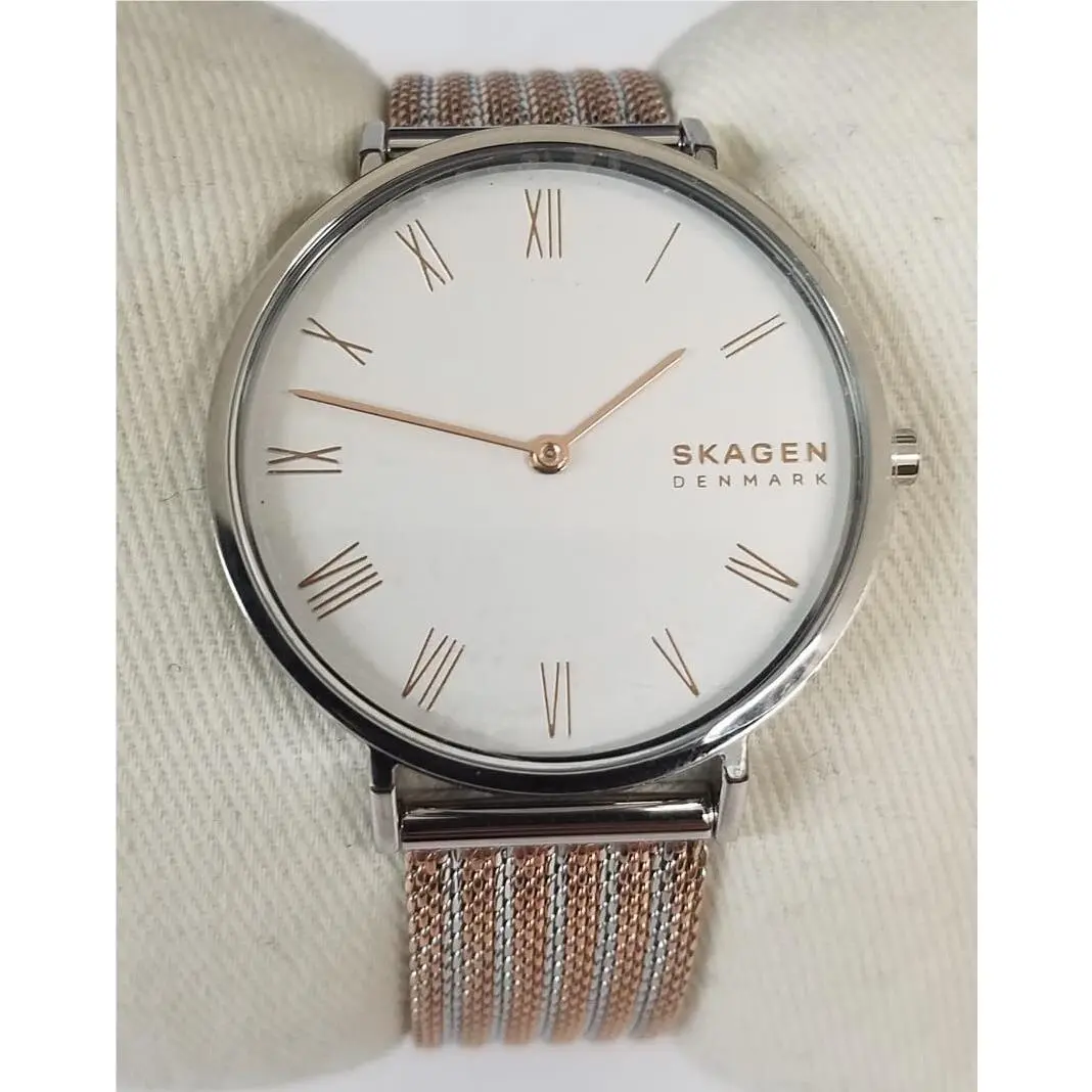 Skagen Hald Women`s Two-tone Stainless Steel Mesh Band Watch SKW2815