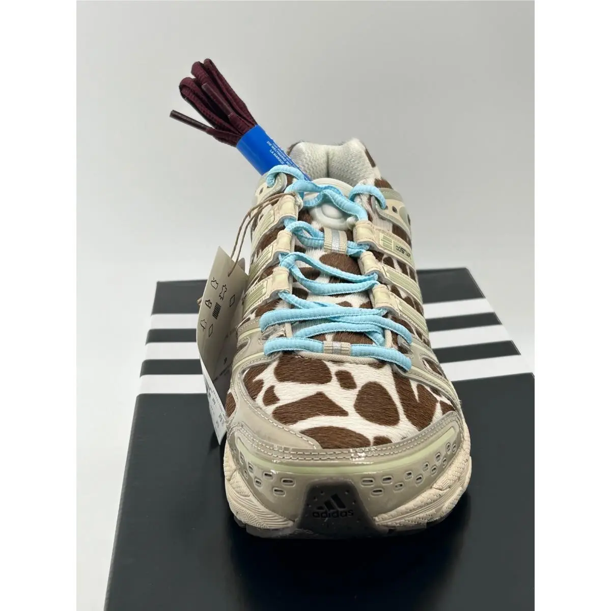 Adidas shoes - adidas Adistar Control 5 W - Brown 0