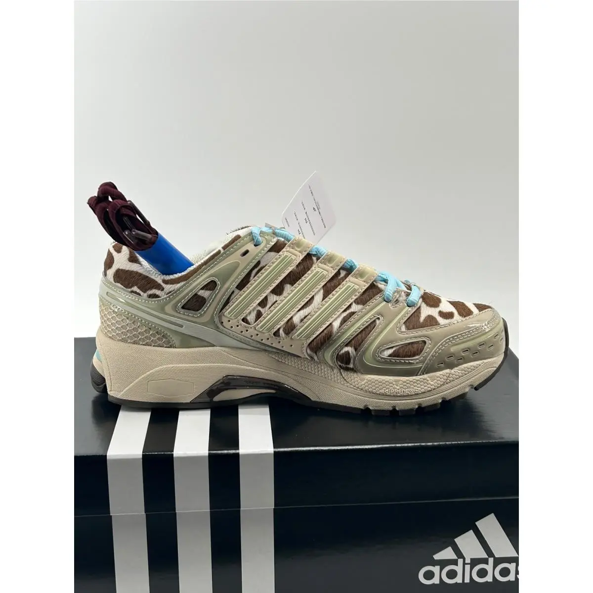 Adidas shoes - adidas Adistar Control 5 W - Brown 2