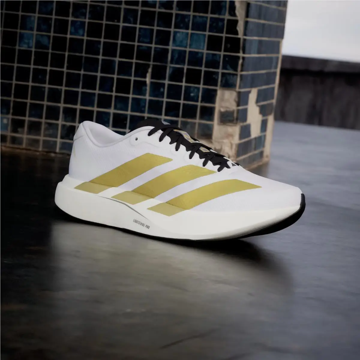 Adidas shoes - adidas Adizero Evo SL - Adizero Evo - JQ4441 - White 0