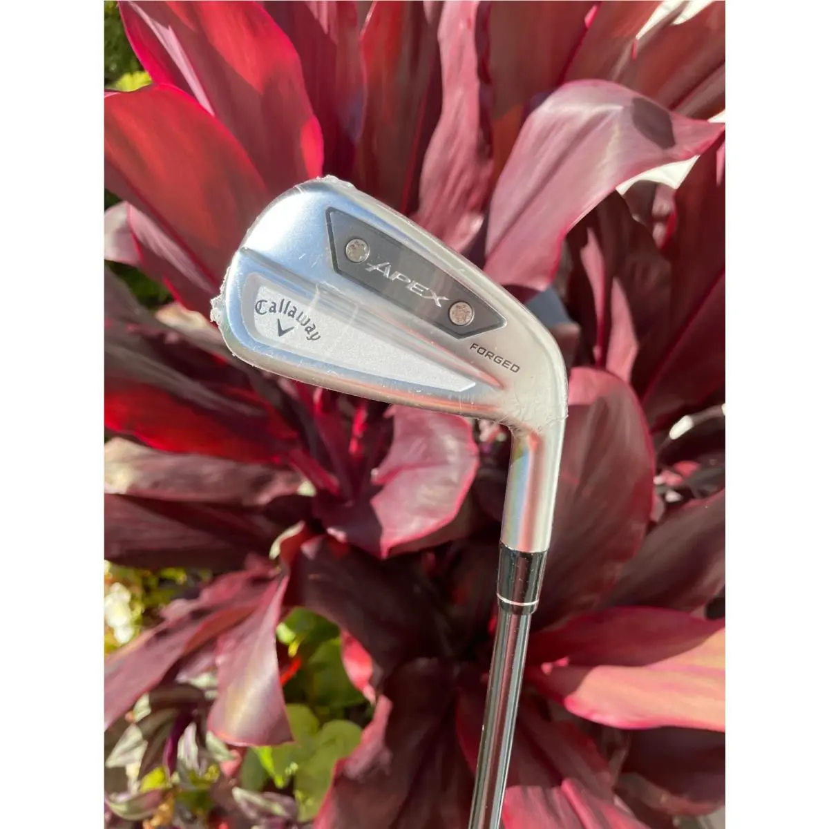 Callaway Apex Ai300 7 Iron in Plastic Hdx Recoil Dart Graphite Shaft R Flex