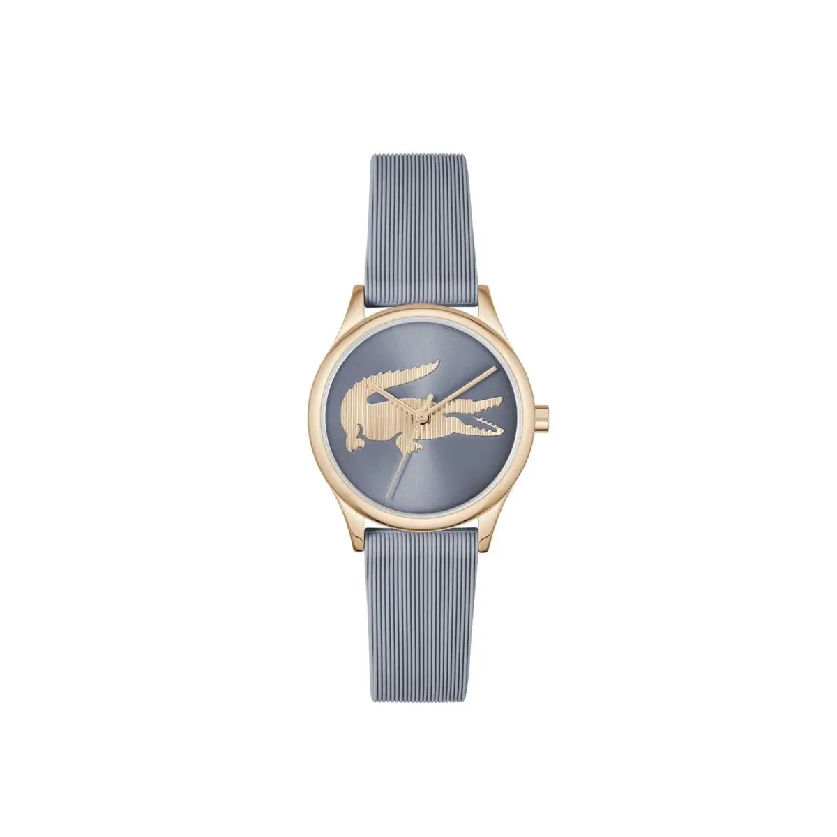 Crocodelle Women`s Quartz Watch 32MM Blue Carnation by Lacoste