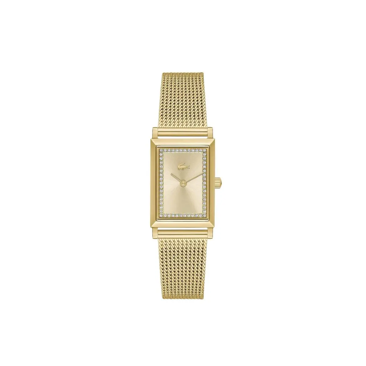 Catherine Women`s Ionic Plated Thin Gold Steel with One Size Black by Lacoste