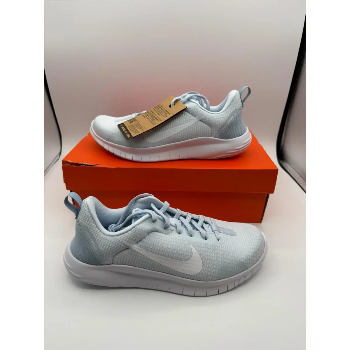 Nike shoes - Nike Flex Experience Run 12 - DV0746 400 - Photon Dust/Light Smoke Grey/White/Psychic Blue (UPC: 197862855975) 0