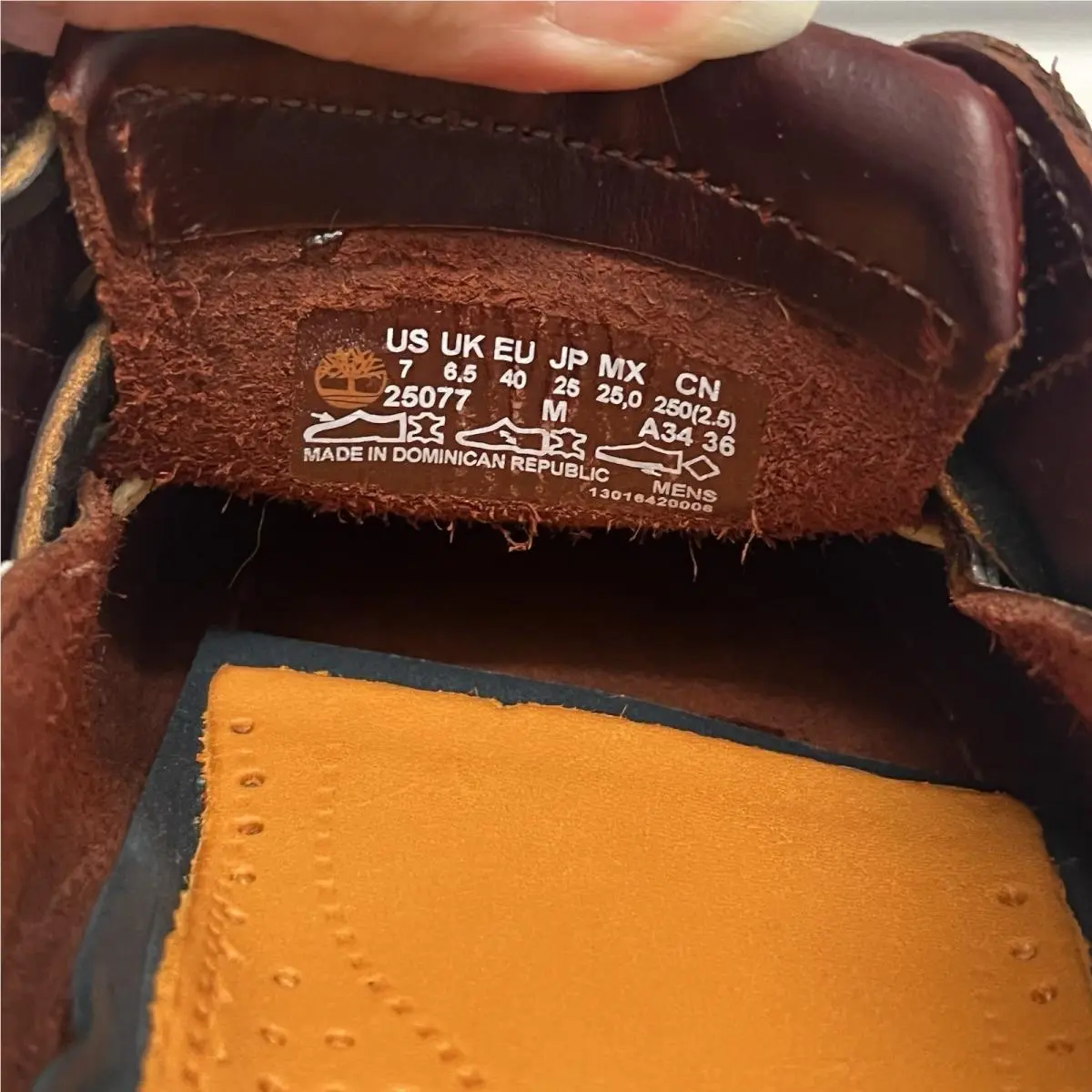 Timberland shoes - Timberland 25077 - 25077 - Brown 6