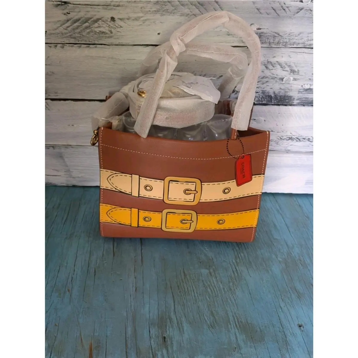 Coach Cashin Carry 22 Handbag