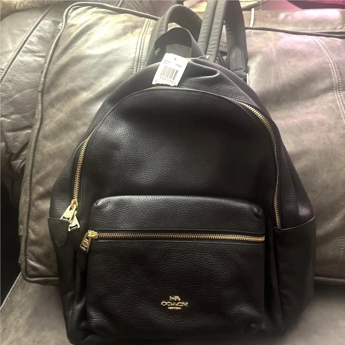 Coach Charlie F29004 Backpack Bag Black Pebbled Leather Gold Hardware Lg