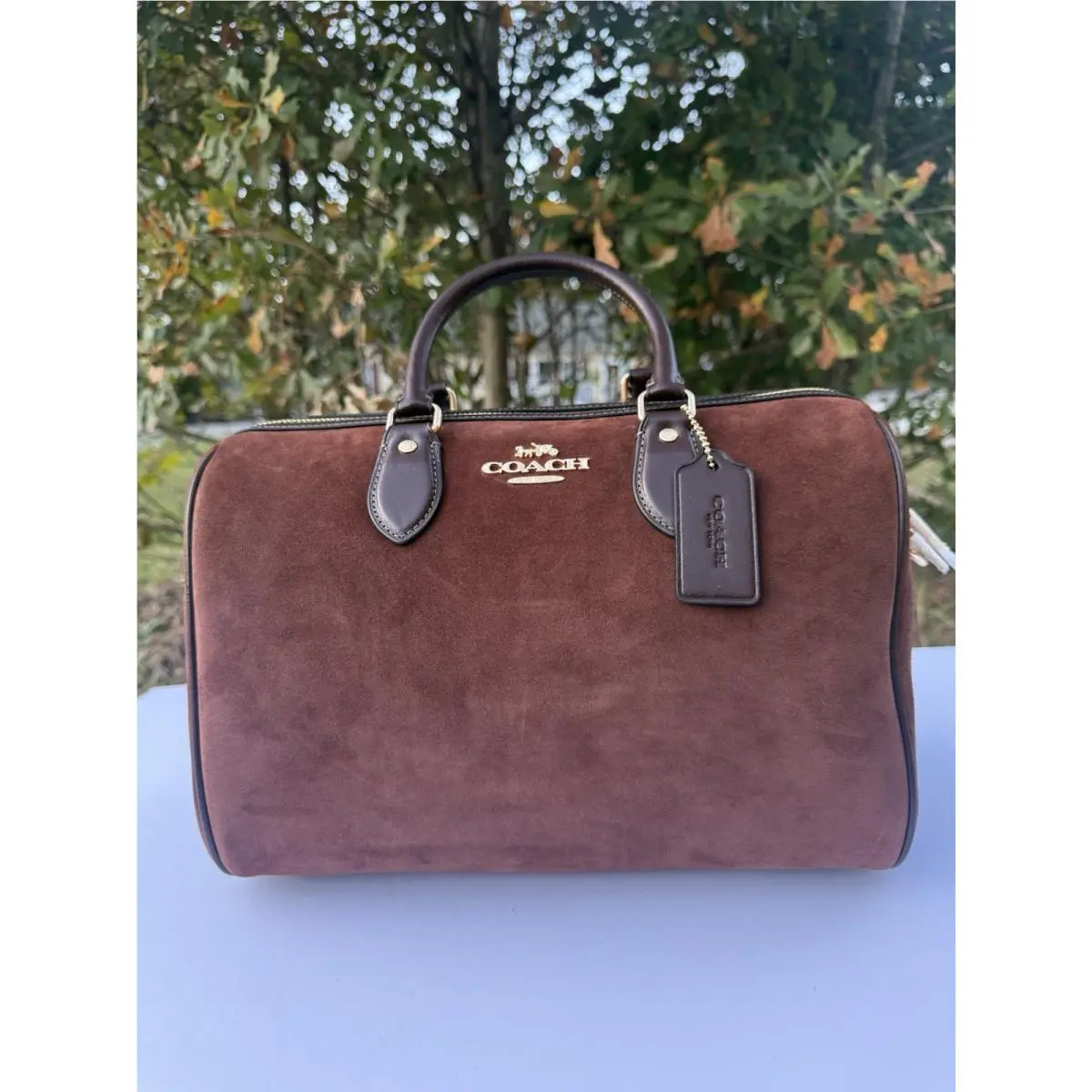 Coach Large Rowan Suede Woman Bag Crossbody Satchel
