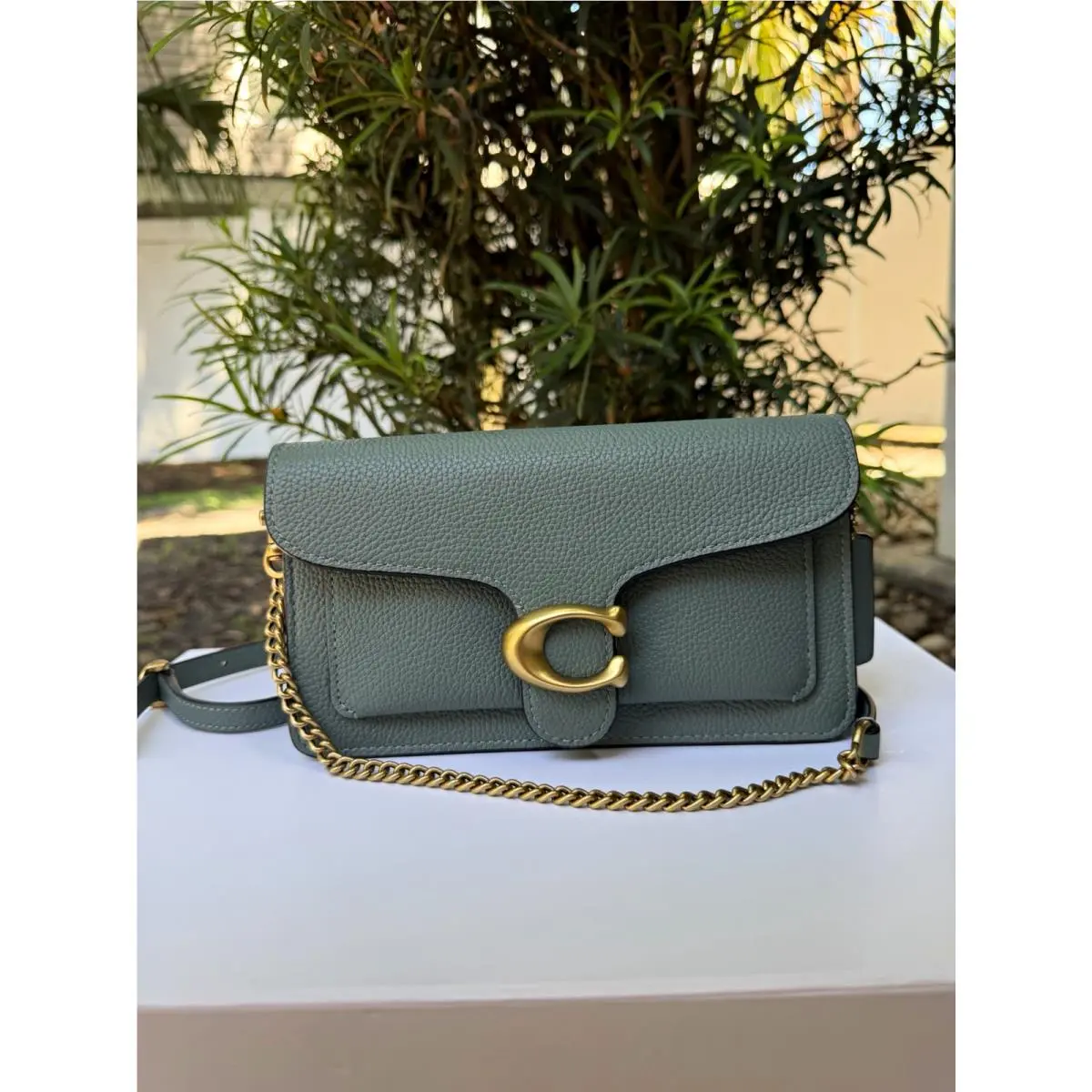 Coach Tabby Chain Clutch CE772 Brass/sage Polished Pebble Leather Crossbody