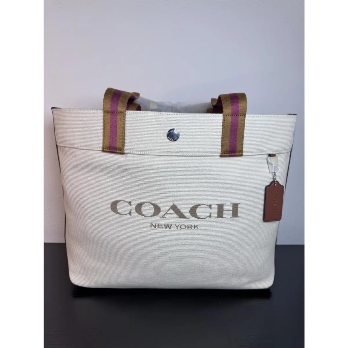 Coach Canvas Tote Bag Leather Beige CJ607 Sv/natural Multi