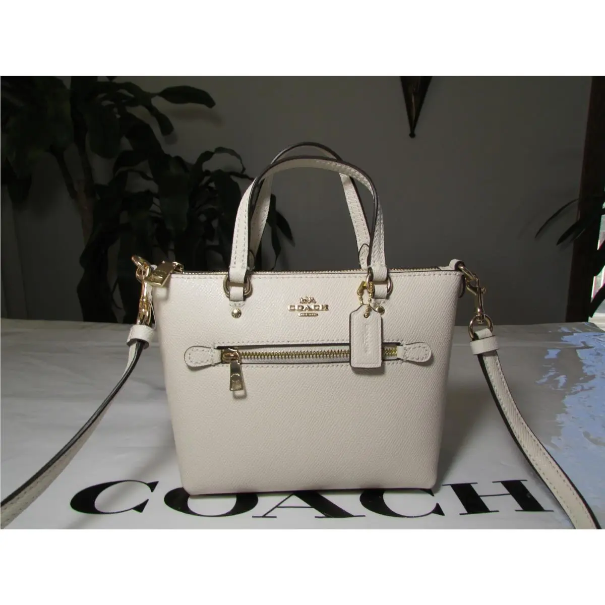 Coach Crossgrain Leather Mini Gallery Crossbody C9948 Chalk