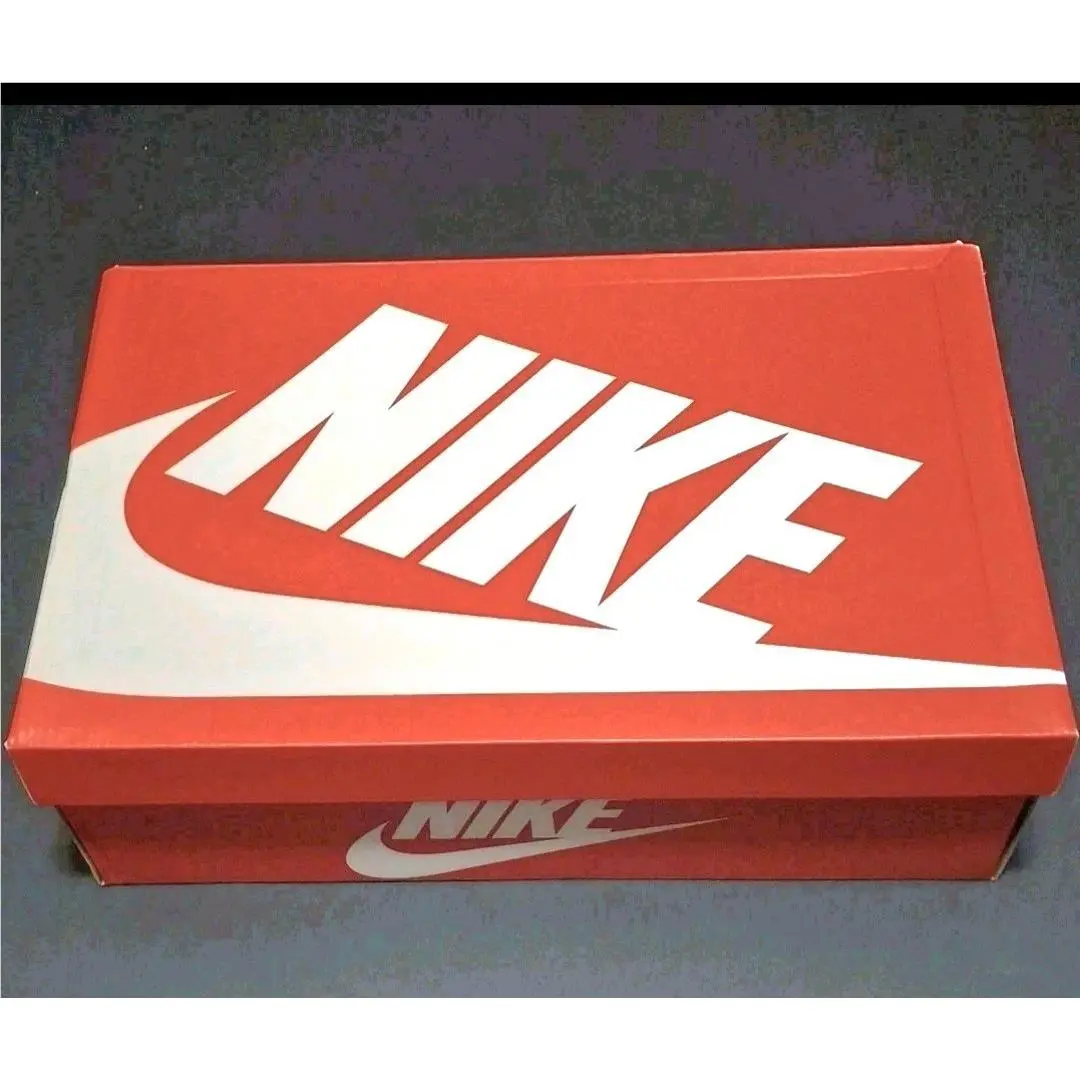 Nike shoes - Nike Air Pegasus 2K5 - Air Pegasus - HQ3031-002 - Silver 19