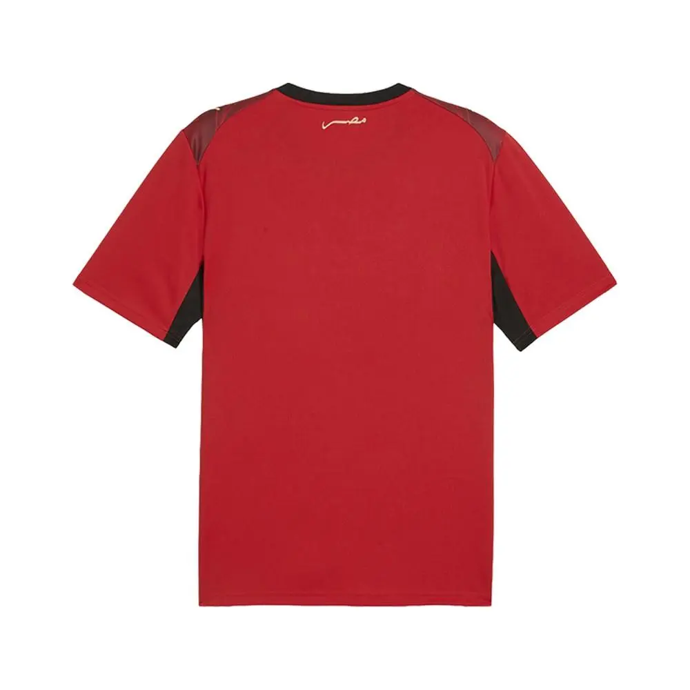 Puma clothing - PUMA Egypt Home Crew Neck Short Sleeve Soccer Jersey - 78355201 - Red 0
