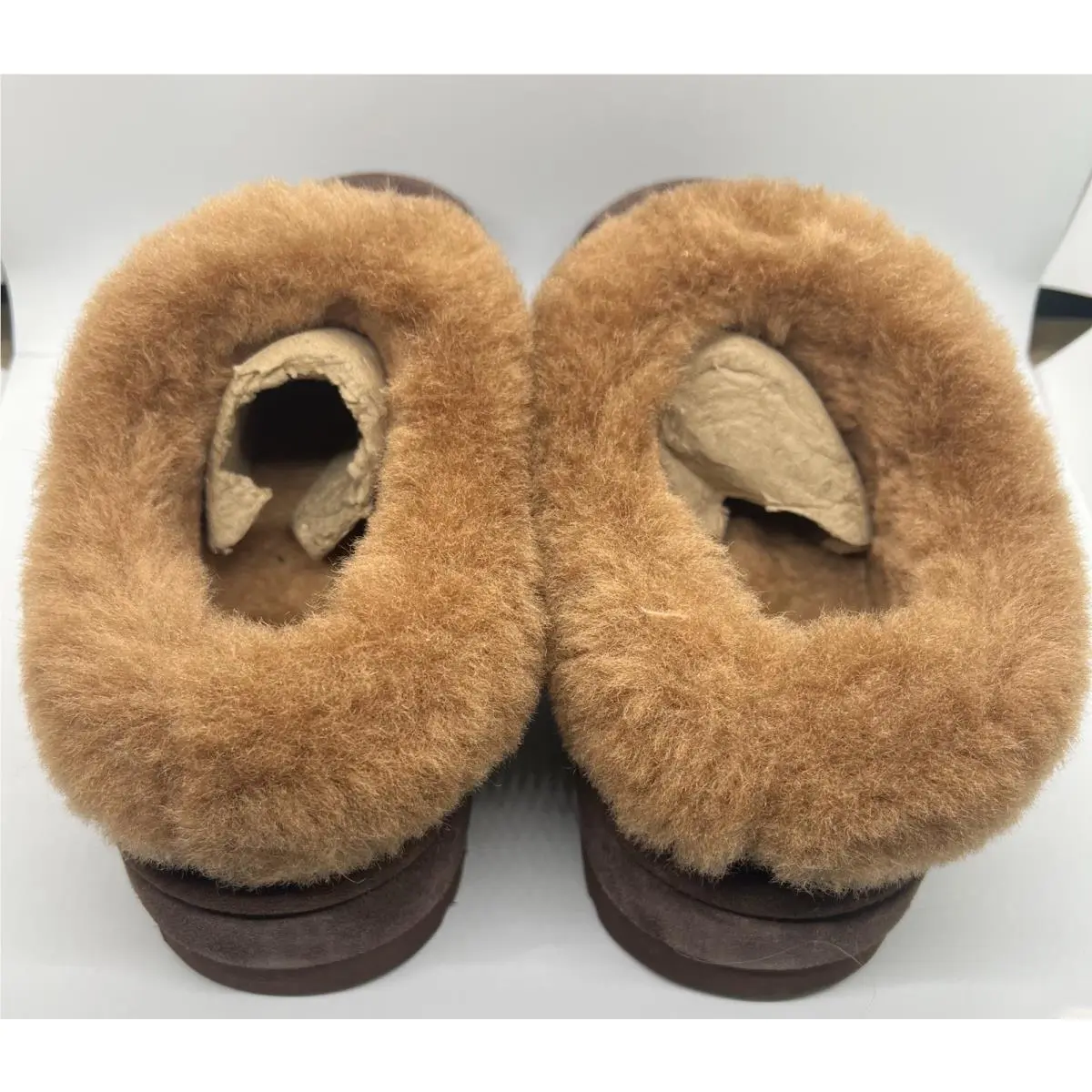 UGG shoes - UGG TAZZLITA HARDWOOD - TAZZLITA HARDWOOD - Hardwood (UPC: 196565780621) 1
