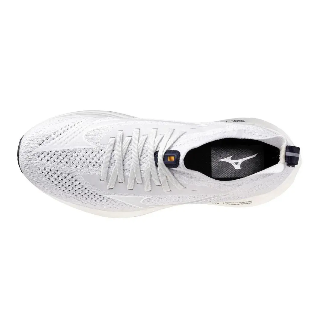 Mizuno shoes - Gray 1