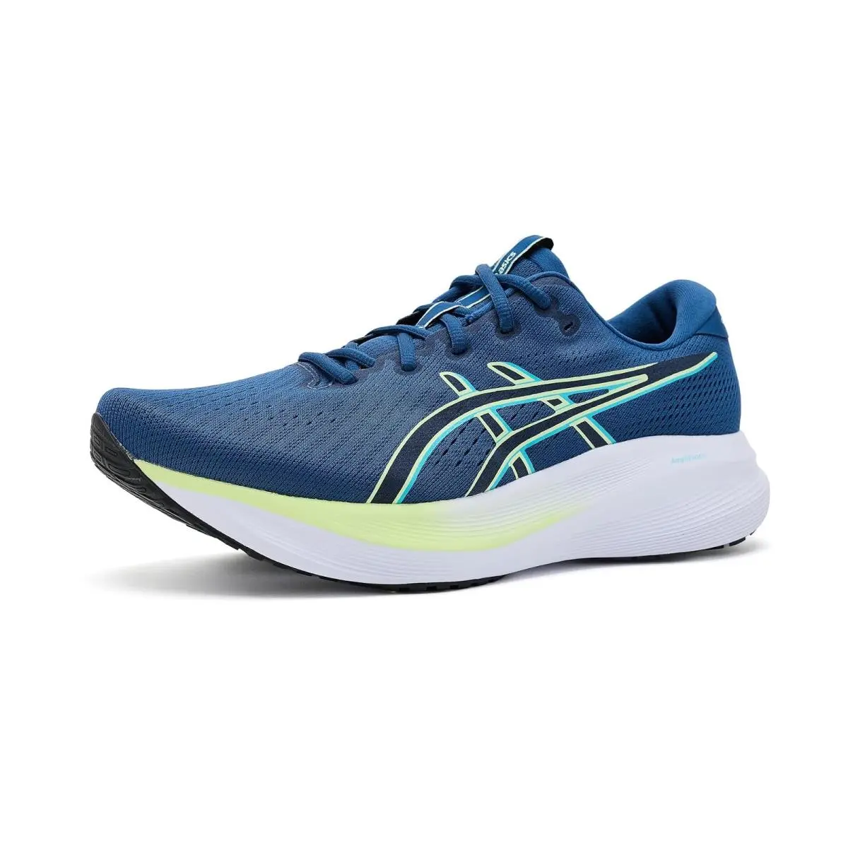 Asics shoes - Black/Meteor Grey 13