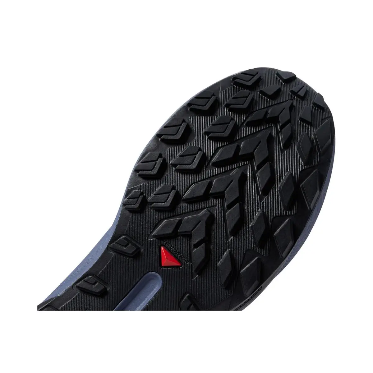 Salomon shoes - Carbon 10