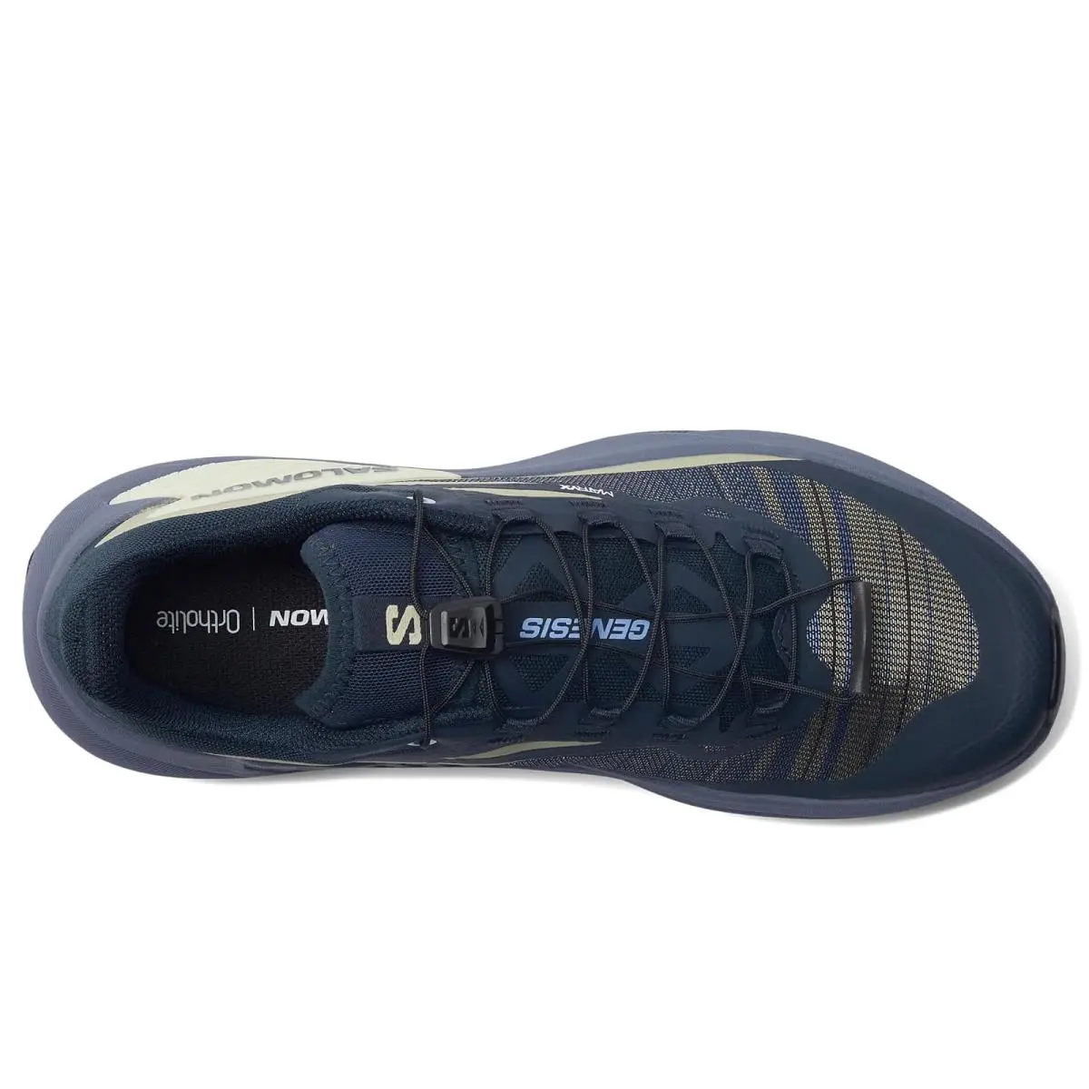 Salomon shoes - Carbon 6