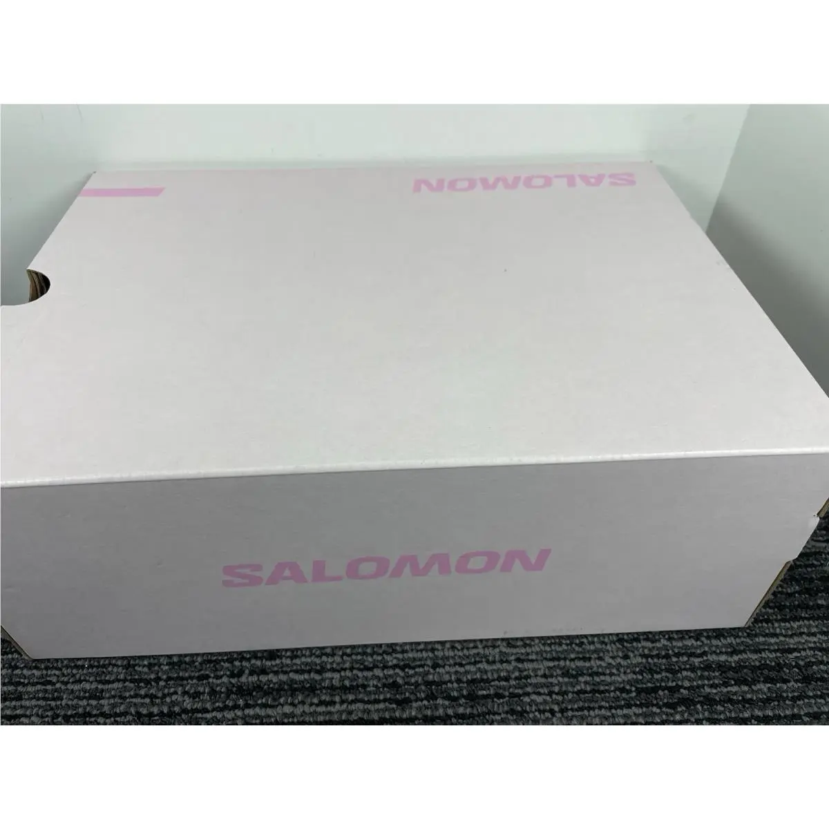 Salomon shoes - Salomon Phileo XT-SP1 - Phileo - Pink 15