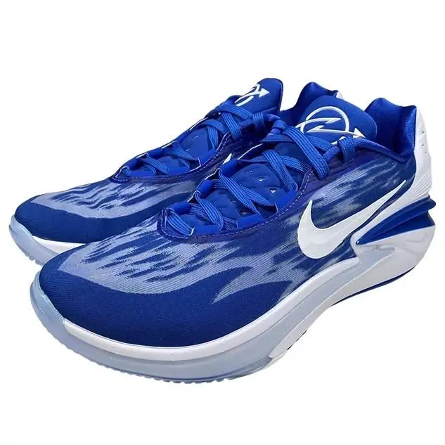 Nike shoes - Nike Air Zoom - Air Zoom - Royal Blue/White 18